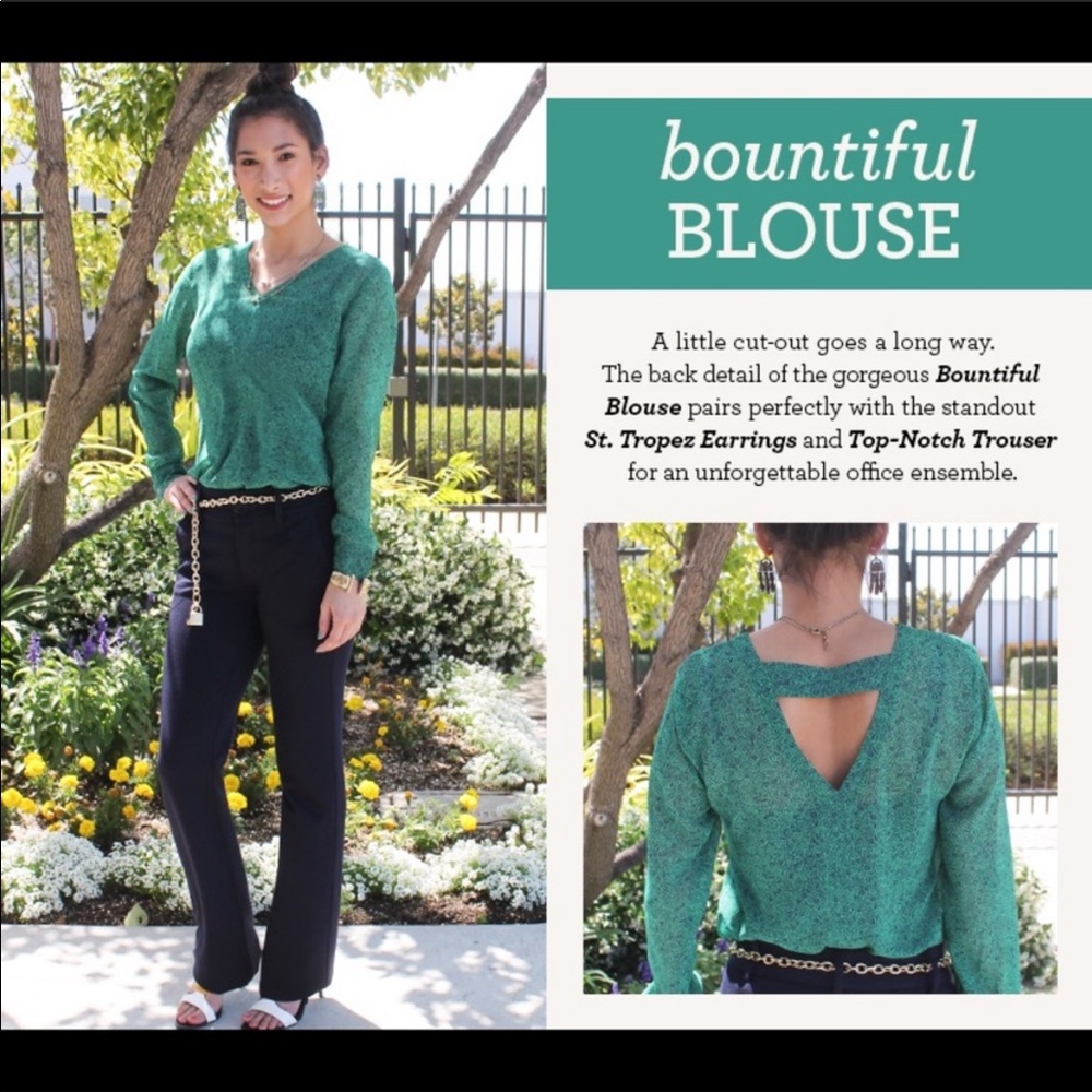 Host Pickcabi Bountiful Blouse - image 2